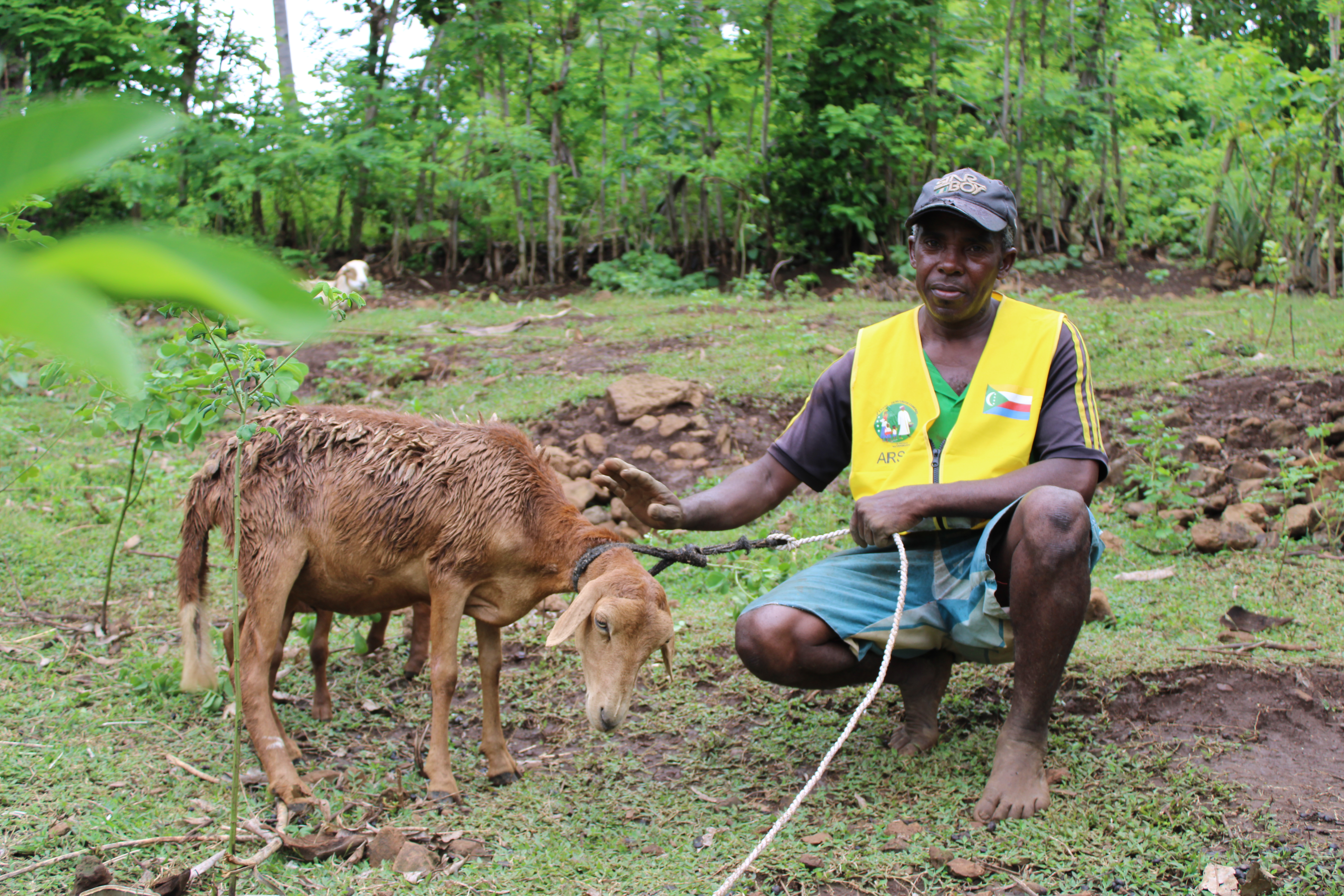 Activité génératrice de revenus