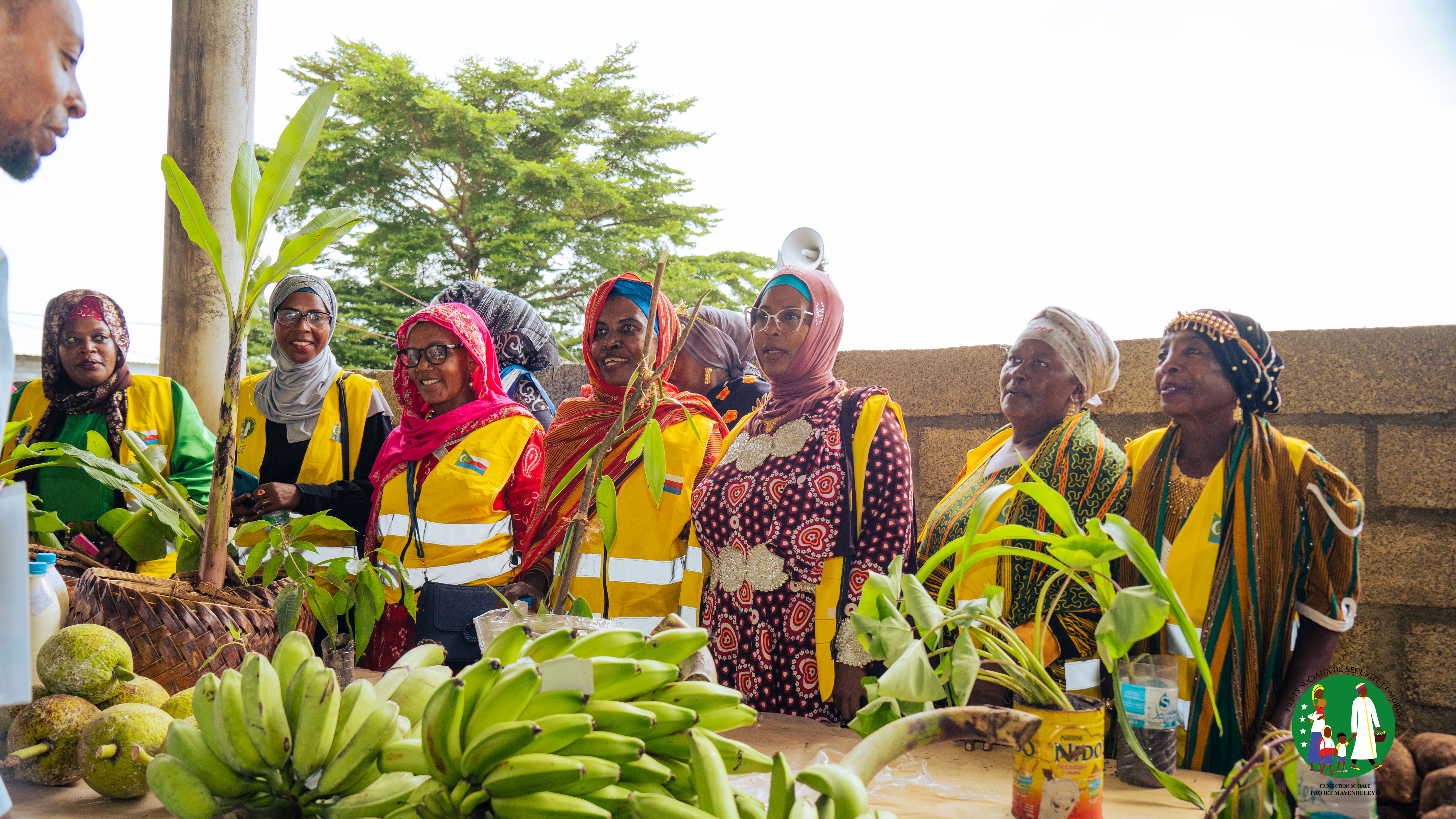 Présentation de vivres
